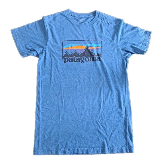 Patagonia Classic Graphic T-Shirt Men’s Medium Blue Slim Fit Short Sleeve Tee - Picture 1 of 6